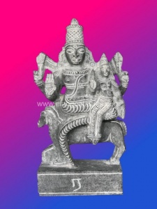 Rahu Special